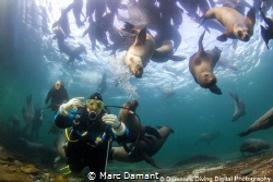 Do you ever get the feeling that something is behind you ... by Marc Damant 